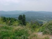 Enlarge photo 39