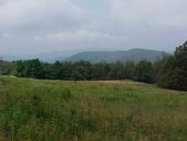 Enlarge photo 47