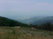 Enlarge photo 56