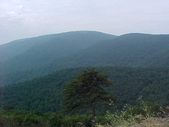 Enlarge photo 42