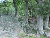 Enlarge photo 55
