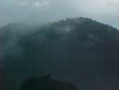 Enlarge photo 75