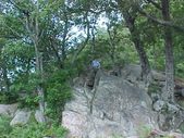 Enlarge photo 52