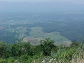 Enlarge photo 65