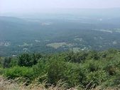 Enlarge photo 72