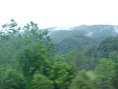 Enlarge photo 73