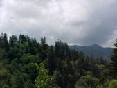 Enlarge photo 88