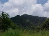 Enlarge photo 90