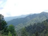 Enlarge photo 91