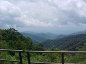Enlarge photo 93