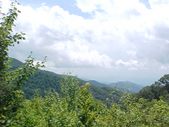 Enlarge photo 94