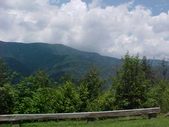 Enlarge photo 95