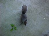Enlarge photo 78