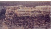 Enlarge photo 37