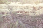 Enlarge photo 41
