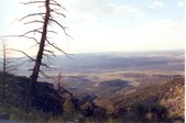 Enlarge photo 42