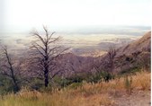 Enlarge photo 45