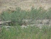 Enlarge photo 48