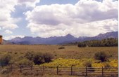 Enlarge photo 50