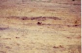 Enlarge photo 59