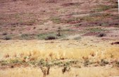 Enlarge photo 60