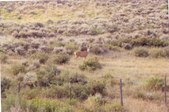 Enlarge photo 62