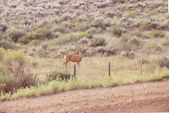 Enlarge photo 63