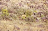 Enlarge photo 65