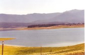 Enlarge photo 66