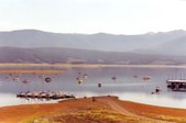 Enlarge photo 67
