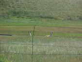 Enlarge photo 1