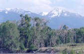 Enlarge photo 36