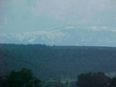 Enlarge photo 37