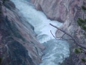 Enlarge photo 51