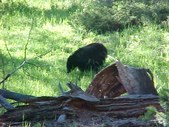 Enlarge photo 57