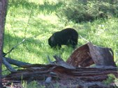 Enlarge photo 58