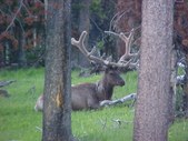 Enlarge photo 75