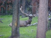 Enlarge photo 76
