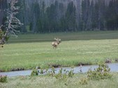 Enlarge photo 63