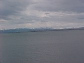 Enlarge photo 65