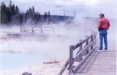 Enlarge photo 71