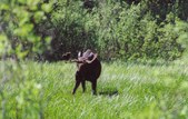Enlarge photo 88