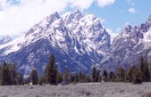 Enlarge photo 93