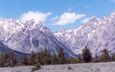 Enlarge photo 94