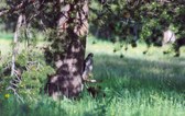 Enlarge photo 102