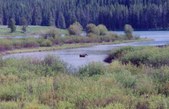 Enlarge photo 96