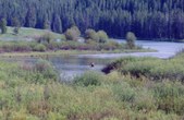 Enlarge photo 97