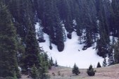 Enlarge photo 108