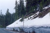 Enlarge photo 111