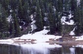 Enlarge photo 114
